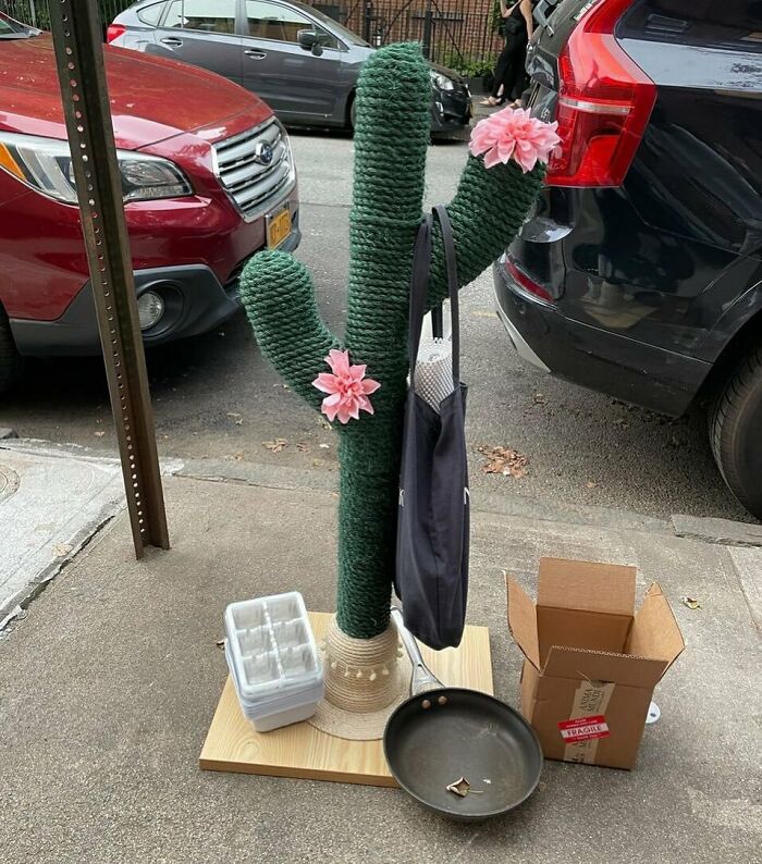 This Stoop Is The Apple Of Our Cacti 
