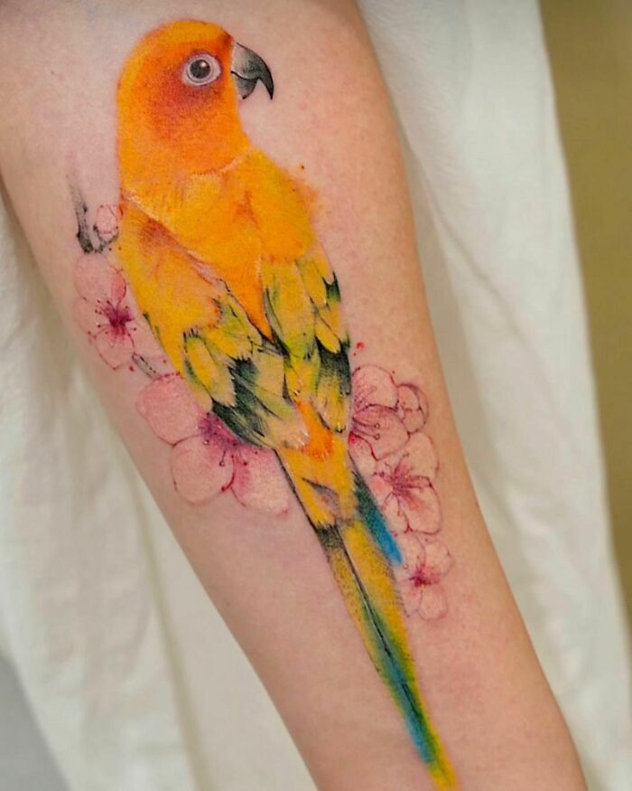 Watercolor Sun Conure Tattoo