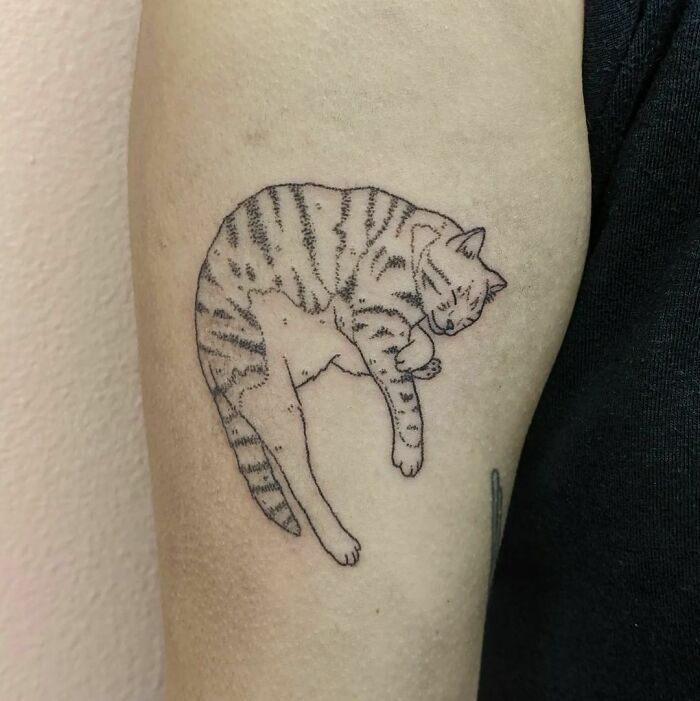 Cat taking a nap tattoo 