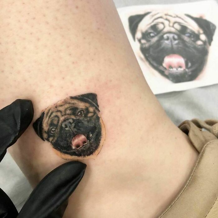 Pug's face tattoo 