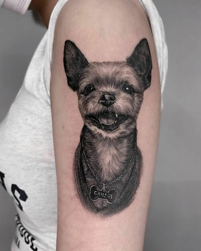 Dog with collar tattoo