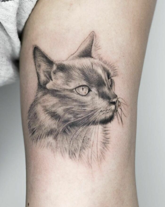 Beautiful Cat Tattoo