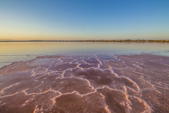 Pink Salt Lake In Torrevieja, Spain