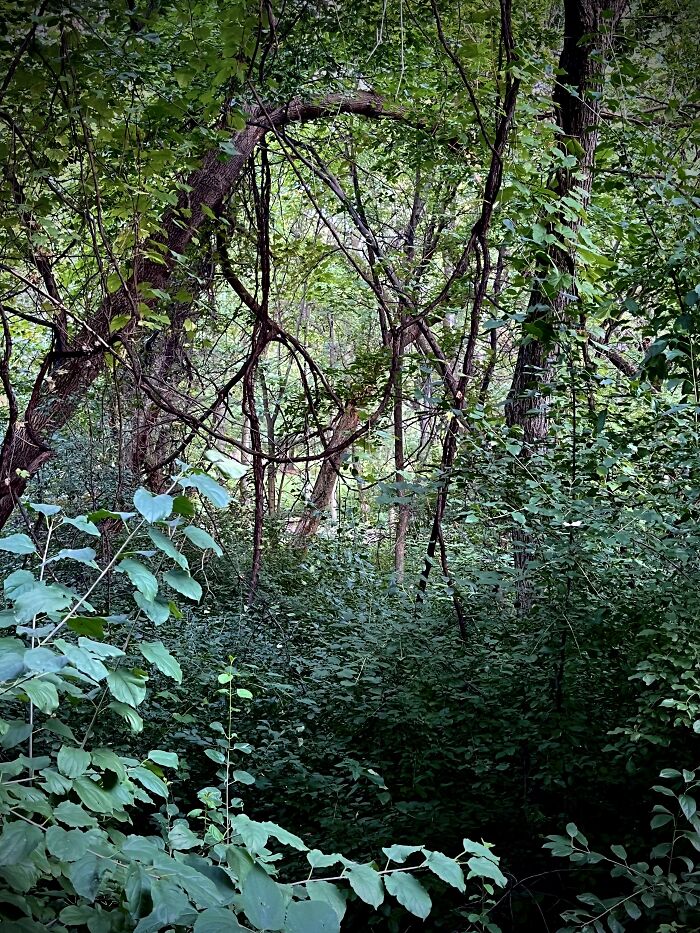 Pictures I’ve Taken Recently (10 Pics)