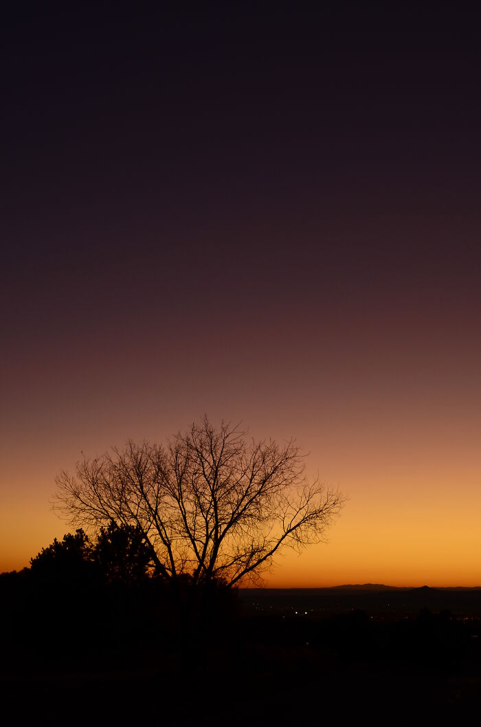 Purple New Mexico Sunset