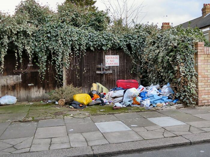 Woman Shares Her Struggles With Neighbors Who She’s Never Seen Clean Up In The 8 Years She’s Lived There Woman Shares Her Struggles With Neighbors Who She’s Never Seen Clean Up In The 8 Years She’s Lived There