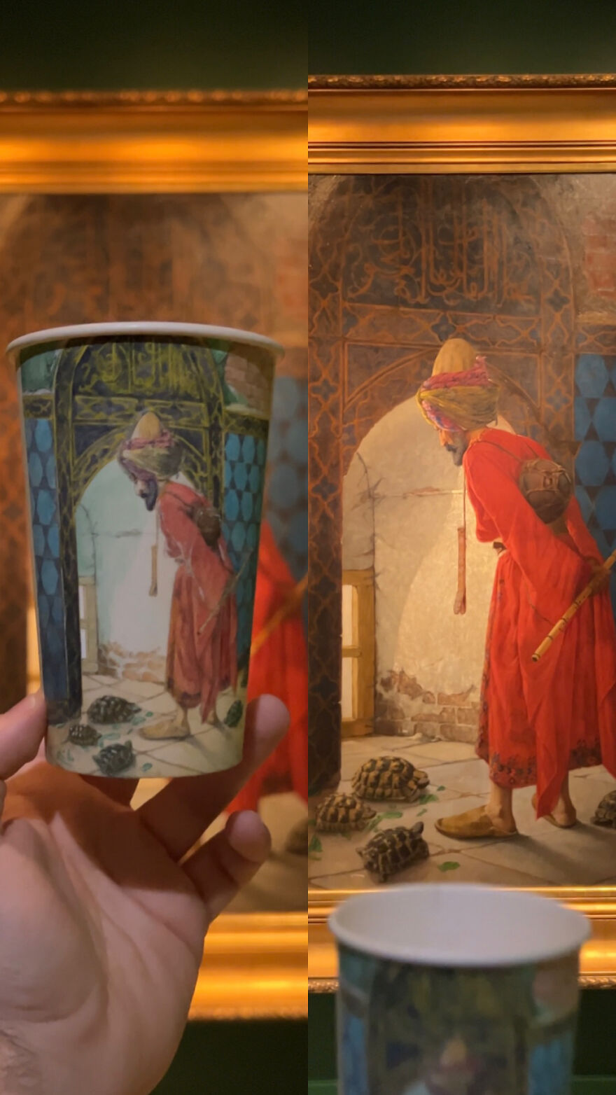 The Tortoise Trainer