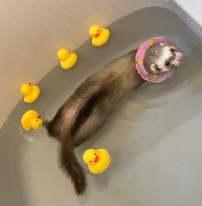 Could Be In The Olympics