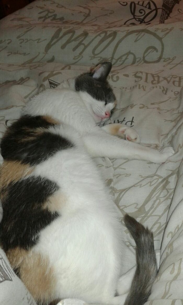 Angel, She Was 16 Years Old And Deaf When She Died In 2017:(