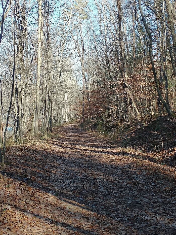 Nature Walk In The Middle Of Winter, Tn