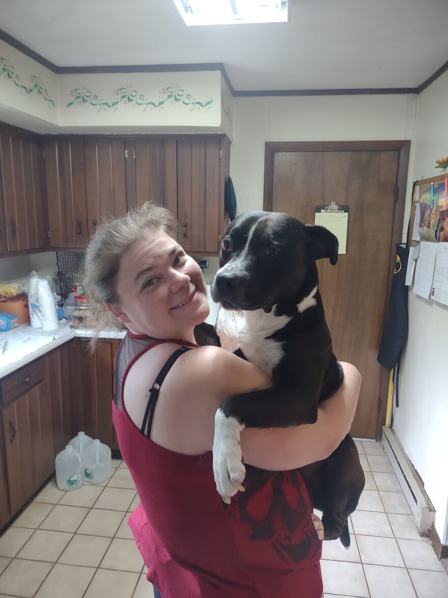 In Honor Of Dogs 13th Birthday, Here Are 13 Pictures Of Him