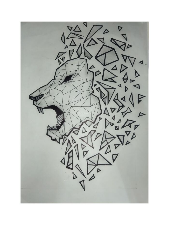Lion Representation Geometrically