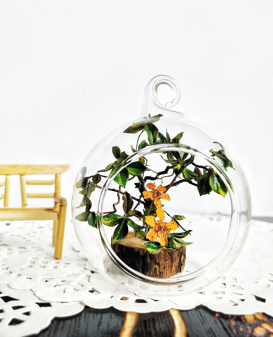 Miniature Tree In A Glass Dome