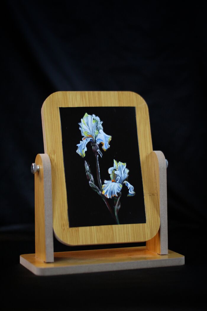 I Create Fairytale Mirrors (16 Pics)