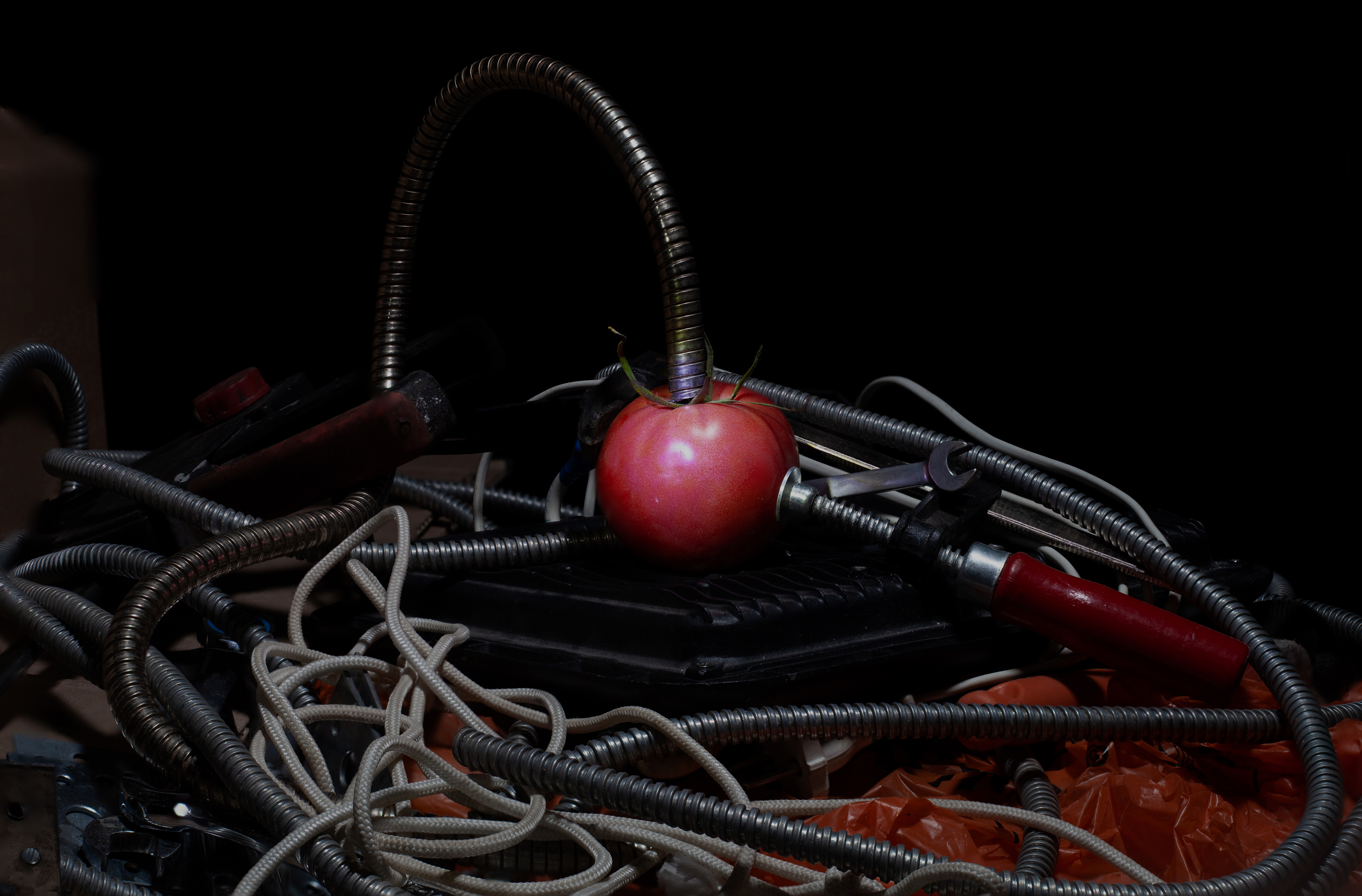 Cyberpunk With Vegetables