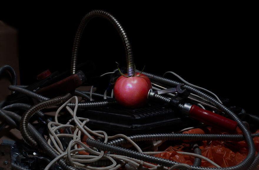 Cyberpunk With Vegetables Cyberpunk With Vegetables