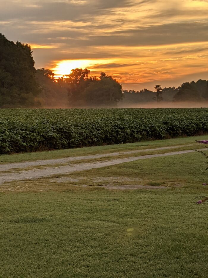 North Carolina Sunrise From My Front Yard