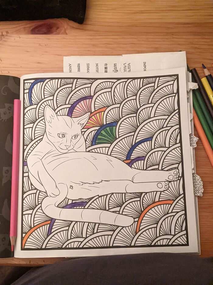 My Unfinished Coloring Book Page