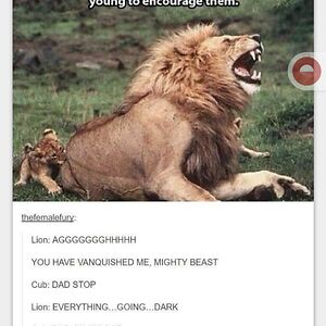 kristinahogan avatar