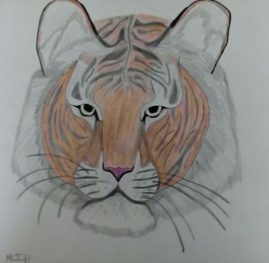 Some Of My Drawings Describing Myself( 10 Photos)