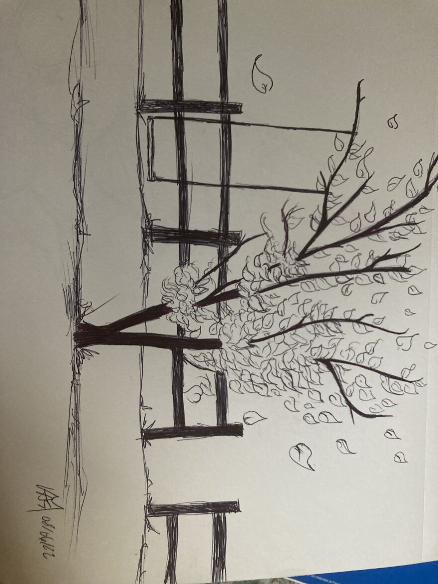 I Wanted To Draw A Tree And All I Had Was A Normal Ink Pen