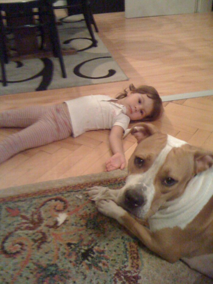 The 5 Most Crucial Life Lessons My Pitbull Dog Dina Taught Me (32 Pics) The 5 Most Crucial Life Lessons My Pitbull Dog Dina Taught Me (32 Pics)