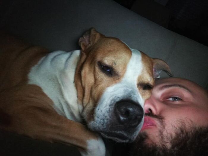 The 5 Most Crucial Life Lessons My Pitbull Dog Dina Taught Me (32 Pics) The 5 Most Crucial Life Lessons My Pitbull Dog Dina Taught Me (32 Pics)