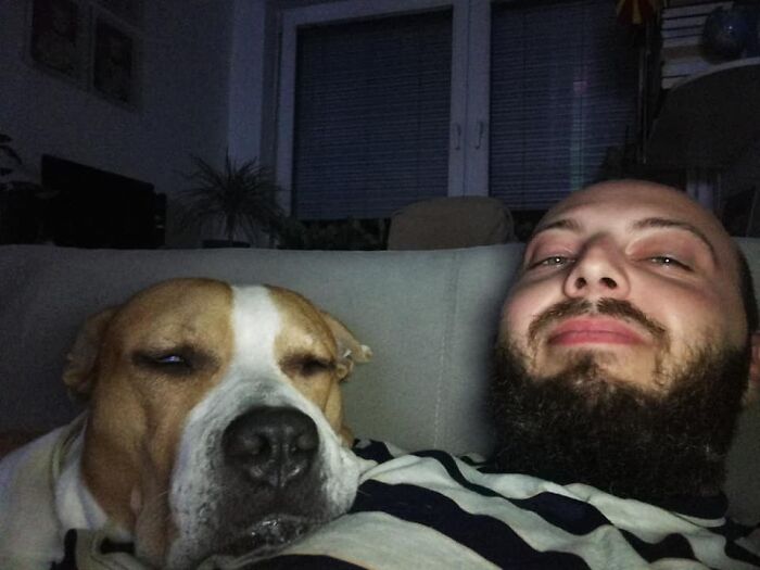 The 5 Most Crucial Life Lessons My Pitbull Dog Dina Taught Me (32 Pics)