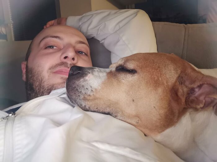 The 5 Most Crucial Life Lessons My Pitbull Dog Dina Taught Me (32 Pics) The 5 Most Crucial Life Lessons My Pitbull Dog Dina Taught Me (32 Pics)