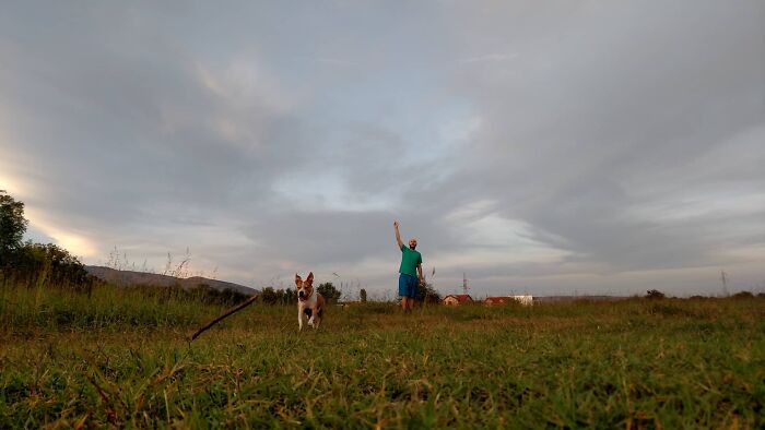 The 5 Most Crucial Life Lessons My Pitbull Dog Dina Taught Me (32 Pics) The 5 Most Crucial Life Lessons My Pitbull Dog Dina Taught Me (32 Pics)