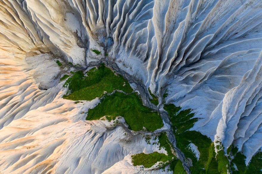 Category: Nature, Commended, Wings Of The White Cliffs By Alexey Kharitonov