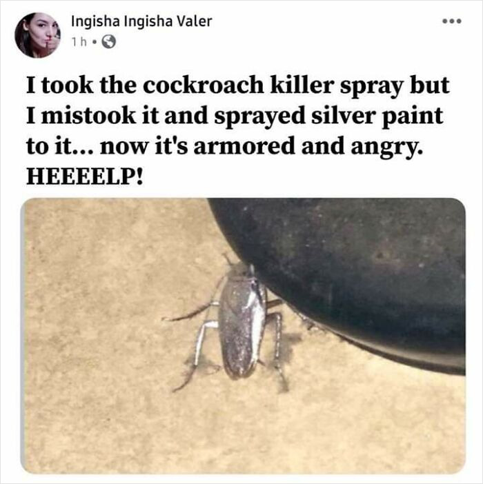 Armoured Cockroach Def 300+ Attack 20 Speed 15 You Can Kill Him Using A Fire Or Hit It 20 Times