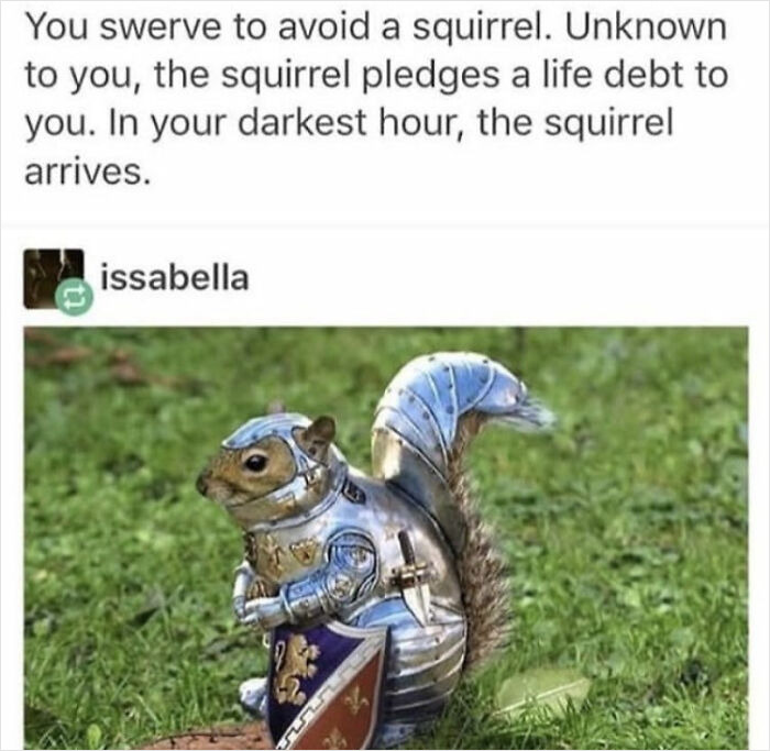 Squirrel Knight. Stats: +10 Damage, -5 Speed, +50 Charisma