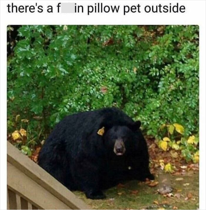 Sentient Pillow Pet