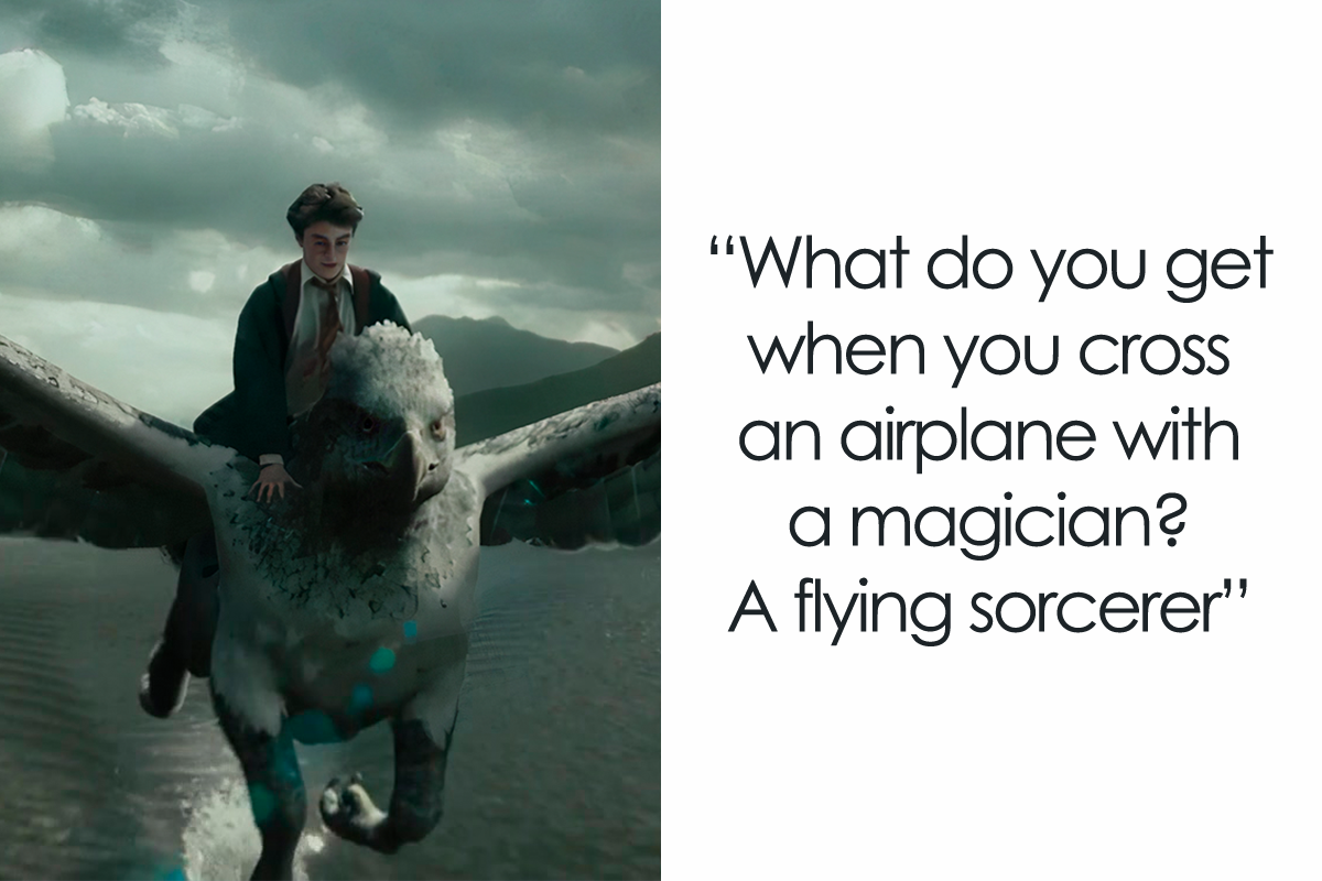 We Collected Airplane Jokes For Every Traveler Flying To Their Destination  | Bored Panda