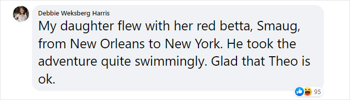 “How About I Take It Home To Live With Me?”: Airline Employee Looks After Passenger’s Pet Fish For 4 Months “How About I Take It Home To Live With Me?”: Airline Employee Looks After Passenger’s Pet Fish For 4 Months