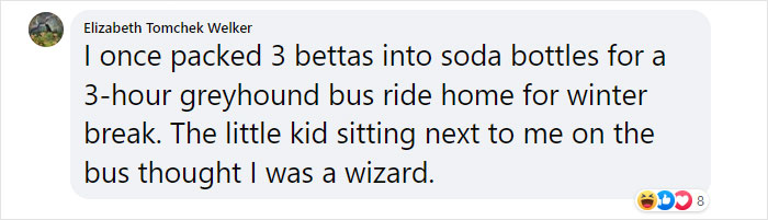 “How About I Take It Home To Live With Me?”: Airline Employee Looks After Passenger’s Pet Fish For 4 Months “How About I Take It Home To Live With Me?”: Airline Employee Looks After Passenger’s Pet Fish For 4 Months