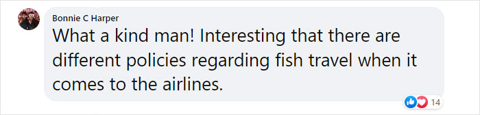 “How About I Take It Home To Live With Me?”: Airline Employee Looks After Passenger’s Pet Fish For 4 Months “How About I Take It Home To Live With Me?”: Airline Employee Looks After Passenger’s Pet Fish For 4 Months