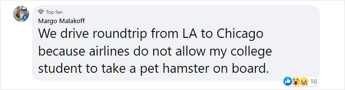 “How About I Take It Home To Live With Me?”: Airline Employee Looks After Passenger’s Pet Fish For 4 Months “How About I Take It Home To Live With Me?”: Airline Employee Looks After Passenger’s Pet Fish For 4 Months