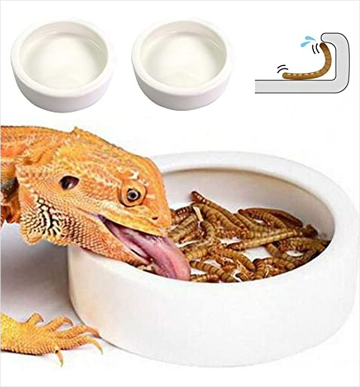 This Appeared In My Suggestions In Amazon