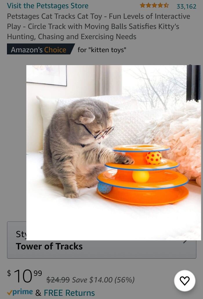 Why Is This Cat Wearing Glasses? (Cat Tracks, $10.99)