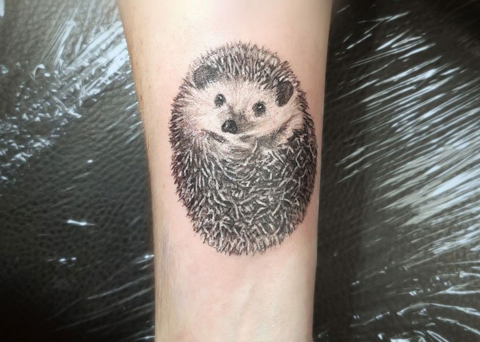 Cut little hedgehog forearm tattoo