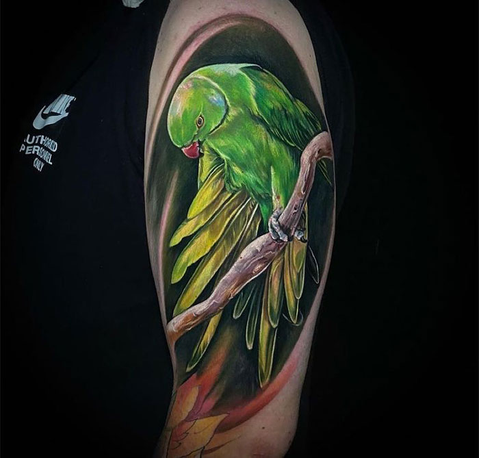 Green parrot on branch tattoo on arm