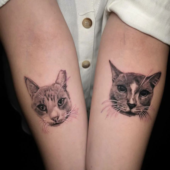 Cats faces on forearms tattoos