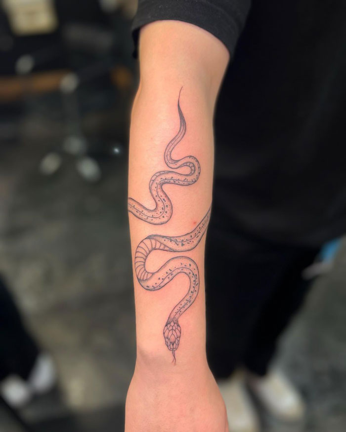 Snake Wrap From Today
