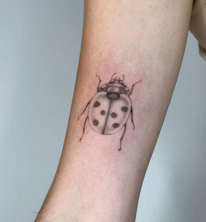 Ladybug animal tattoo on inner forearm, showcasing intricate dot patterns and fine lines.