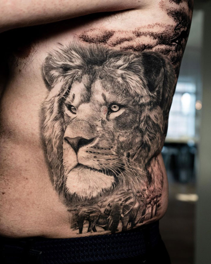 Lion Healed