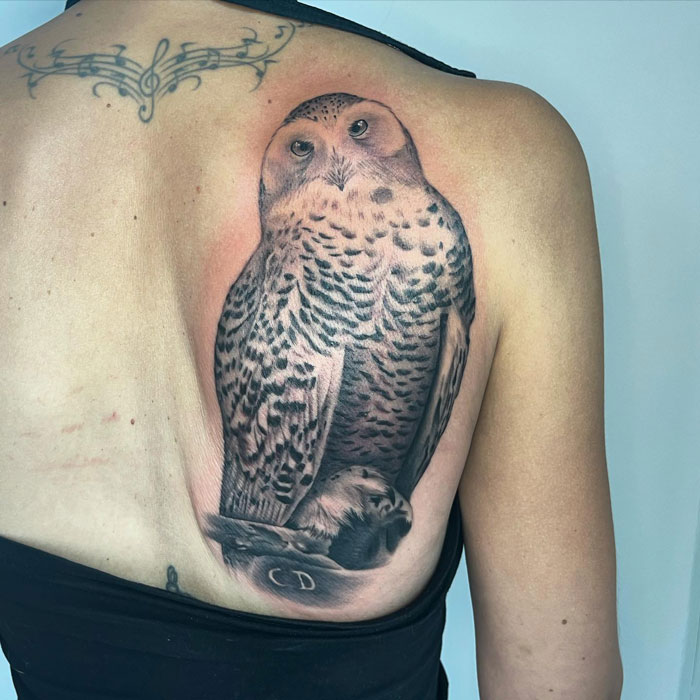 Owl tattoo on a person's back, showcasing detailed feathers and expressive eyes.