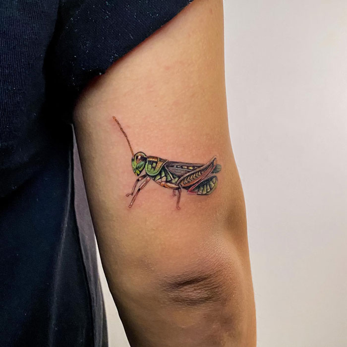 Grasshopper Tattoo