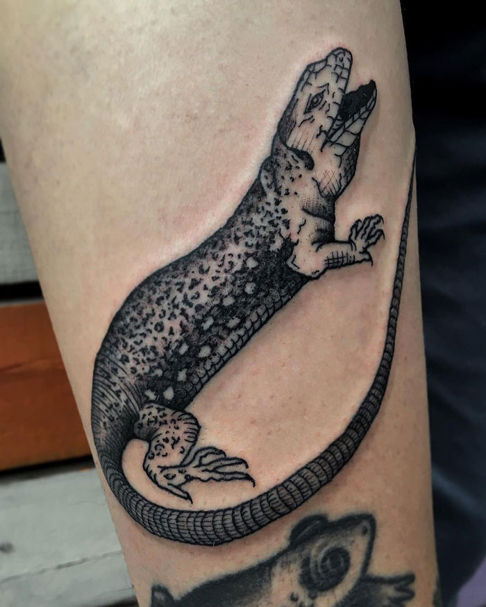 Black ink lizard animal tattoo design on skin.